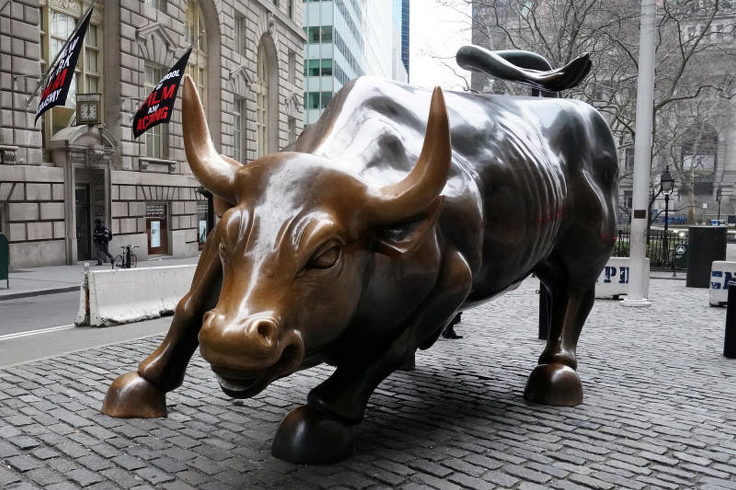b capital forex trading bangalore